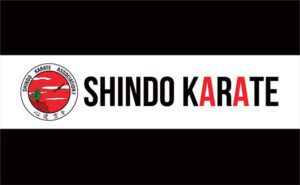 Shindo Microfibre Towel